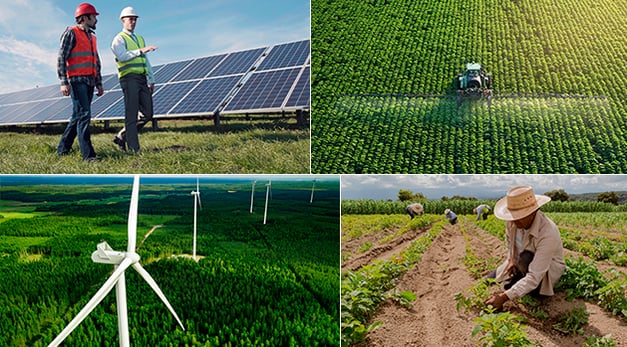programa-adea-verde-sustentabilidad-ipade-banner