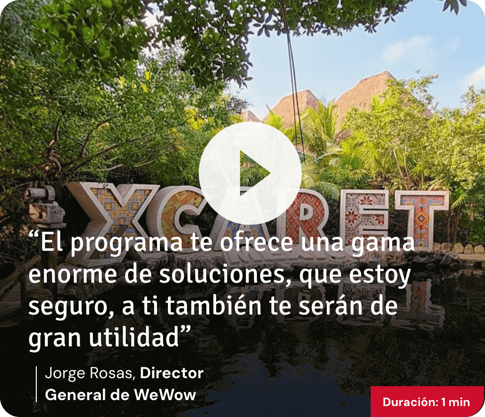 direccion-por-servicios-programas-enfocados-thumb