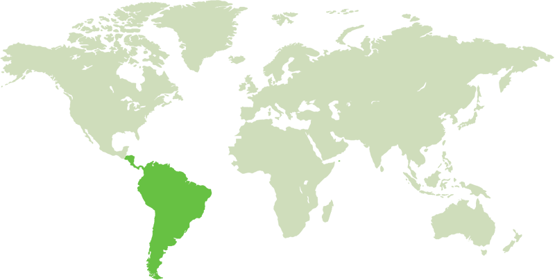 South America continent